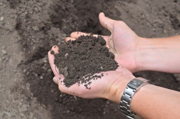 Screened Topsoil in NJ | Best Prices & Fast Delivery