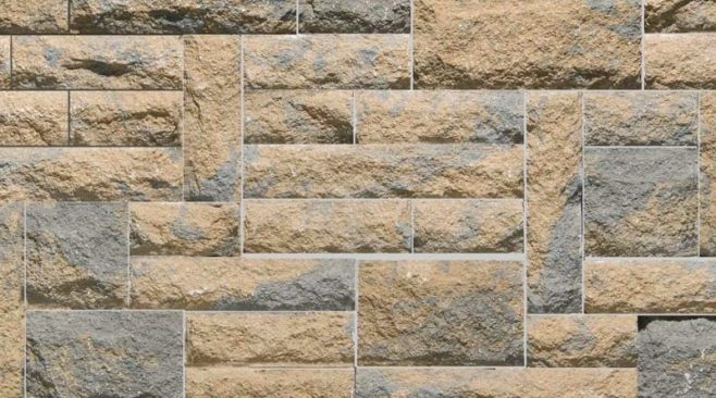 What Should I Be Looking for at a Techo-Bloc Showcase?
