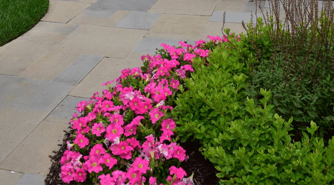 5 Quick Tips About Using Decorative Gravel In Your Flower Beds