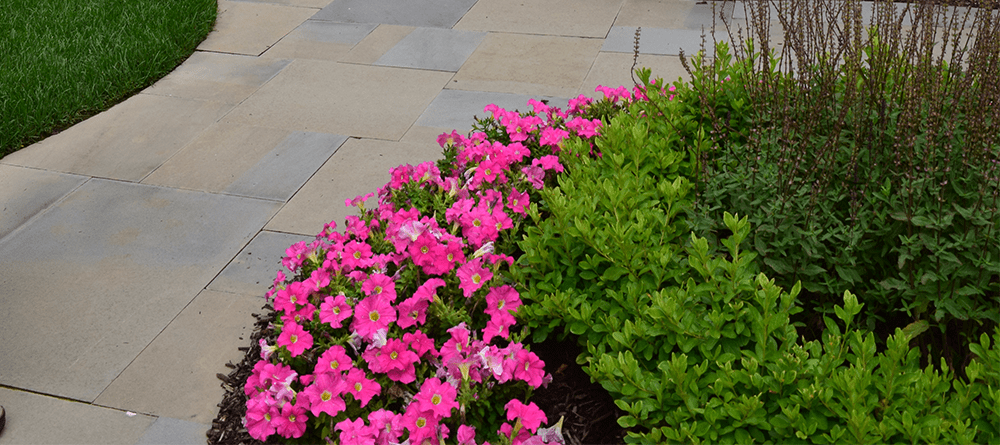 5 Quick Tips About Using Decorative Gravel In Your Flower Beds