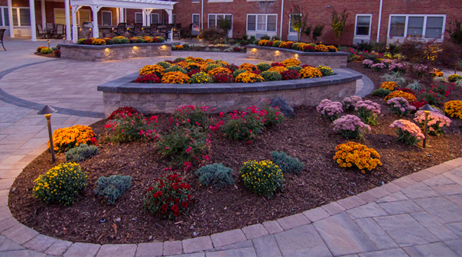 Cedar Mulch vs. Decorative Gravel: What Is Best For My Flower Beds?